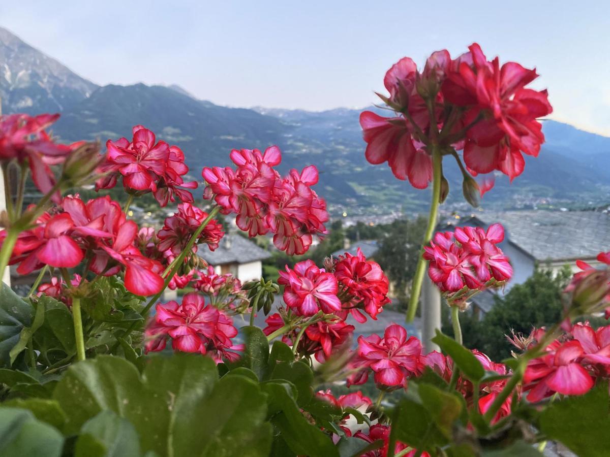 Appartamento Grenier Du Coeur Aosta Esterno foto